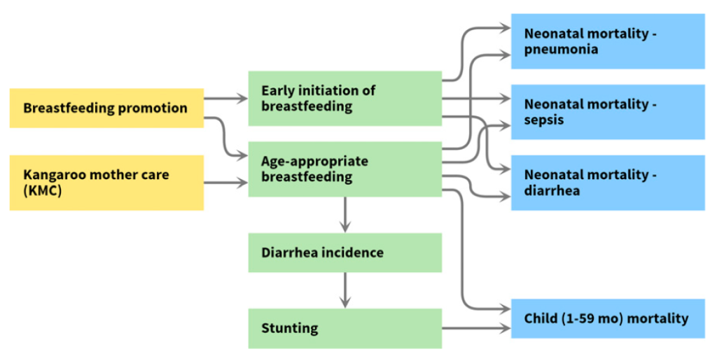 Figure 1. Impact of breastfeeding promotion modeled by the Lives Saved Tool (LiST) (3)